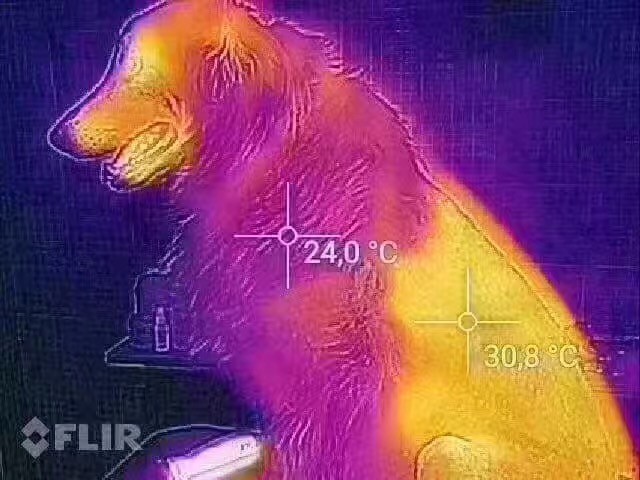 broken image